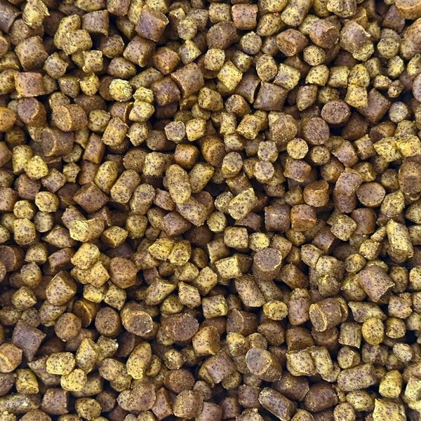 ВАРЕНЫЕ ГРАНУЛЫ PUHACH BAITS NATURAL LINE SHELF LIFE PELLETS 8/10 MM 1 KG - TIGER NUT SWEETCORN (ТИГРОВЫЙ ОРЕХ/КУКУРУЗА) 3214 фото